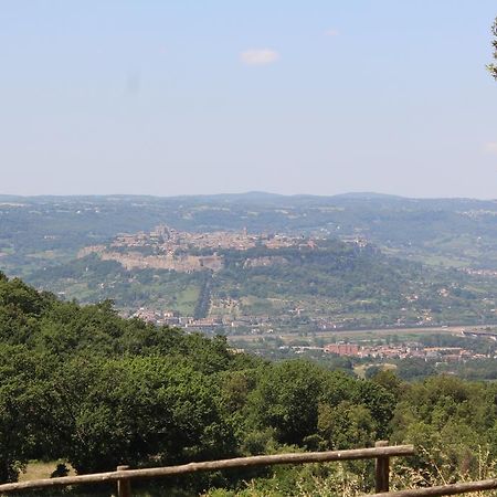 Agriturismo Fattoria Poggio Boalaio Орв'єто Екстер'єр фото