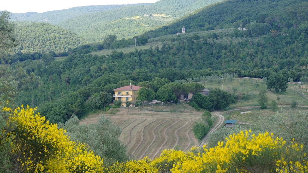 Agriturismo Fattoria Poggio Boalaio Орв'єто Екстер'єр фото