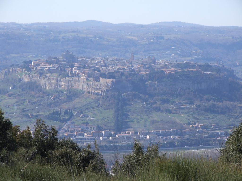Agriturismo Fattoria Poggio Boalaio Орв'єто Екстер'єр фото