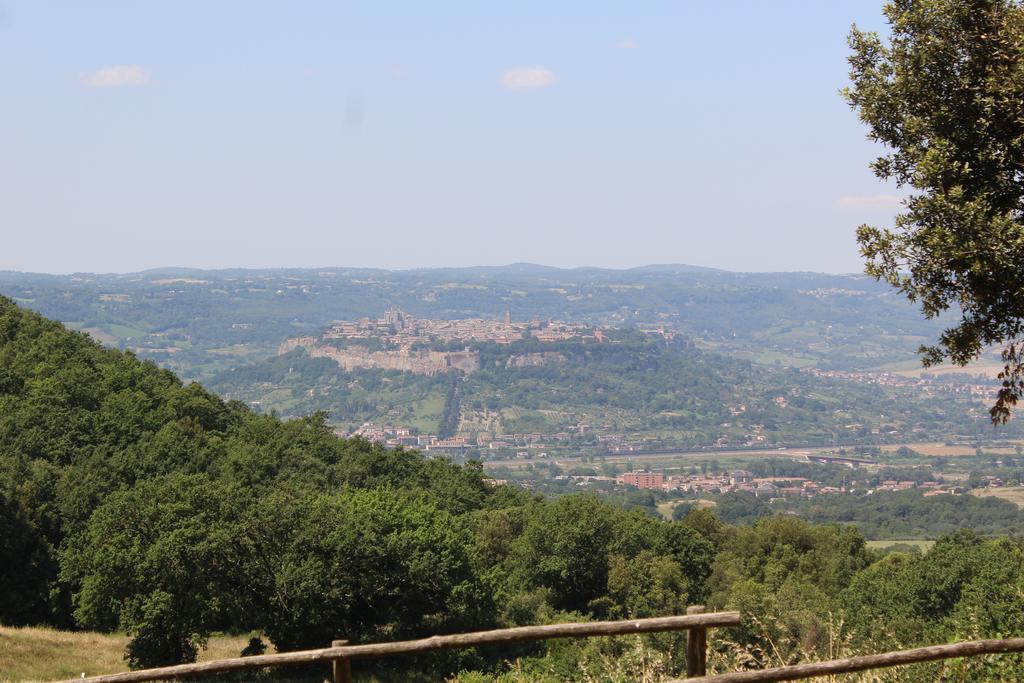 Agriturismo Fattoria Poggio Boalaio Орв'єто Екстер'єр фото