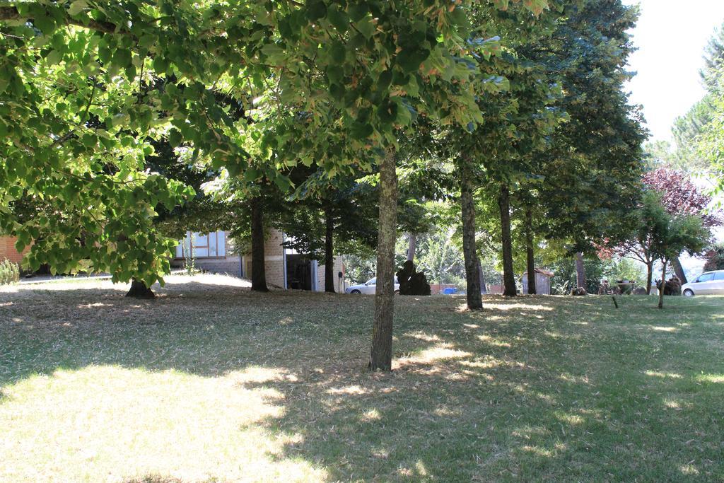 Agriturismo Fattoria Poggio Boalaio Орв'єто Екстер'єр фото